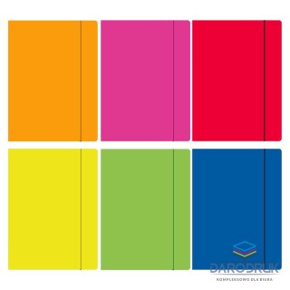 Rexus Teczka kartonowa na gumkę TECZKA Z GUMKĄ FLUO A4 mix Rexus (605203)