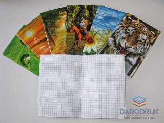Warta Notes (notatnik) A6 40k. krata [mm:] 100x145 Warta (120-033)