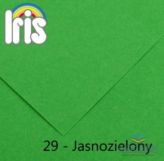 Canson Brystol Iris 29 B1 zielony jasny 240g 25k [mm:] 700x1000 Canson (200040468)