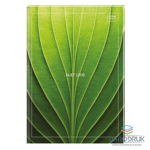 Interdruk Brulion A4 96k. 70g czysty Interdruk (BRA496G)