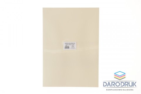 Protos Brystol A3 kremowy 160g 20k Protos