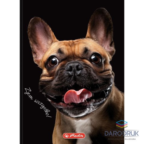 Herlitz Brulion A6 Crazy Animal 80k. 70g krata Herlitz (400196850)