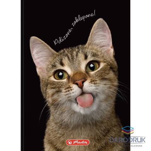 Herlitz Brulion A6 Crazy Animal 80k. 70g krata Herlitz (400196850)