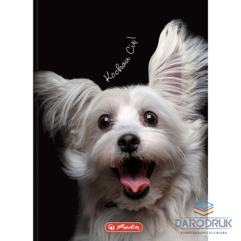 Herlitz Brulion A6 Crazy Animal 80k. 70g krata Herlitz (400196850)