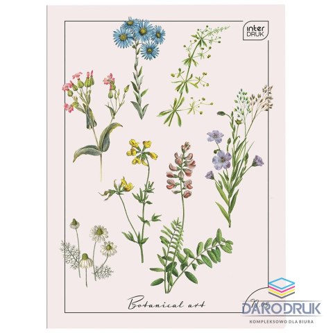 Interdruk Zeszyt A4 96k. 70g krata Interdruk (mix)