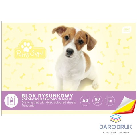 Interdruk Blok rysunkowy bloki A4 kolorowy 80g 20k [mm:] 210x297 Interdruk (BLRK)