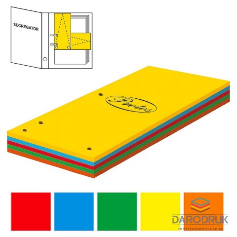 Protos Przekładka czysta 1/3 A4 mix kolorów 160g 100k Protos