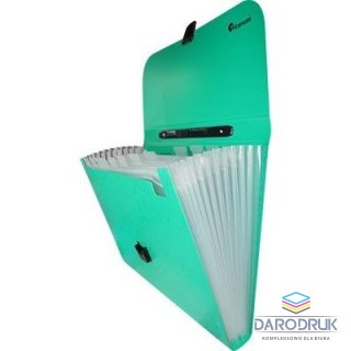 Titanum Teczka segregująca PP Titanum A4 z rączką 13 przegródek zielona z wzorkami (TW12GR)