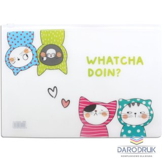 Happy Color Teczka plastikowa na zatrzask A5 mix Happy Color (MG ADM929FP)