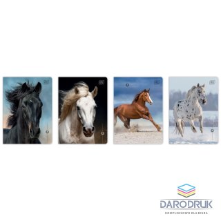 Interdruk Zeszyt A5 WILD HORSES 16k. 70g linia kolor Interdruk