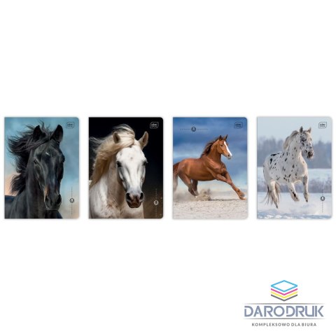 Interdruk Zeszyt A5 WILD HORSES 16k. 70g linia kolor Interdruk
