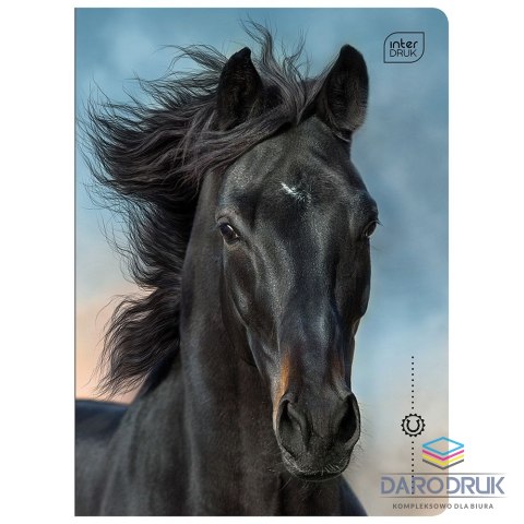 Interdruk Zeszyt A5 WILD HORSES 16k. 70g linia kolor Interdruk
