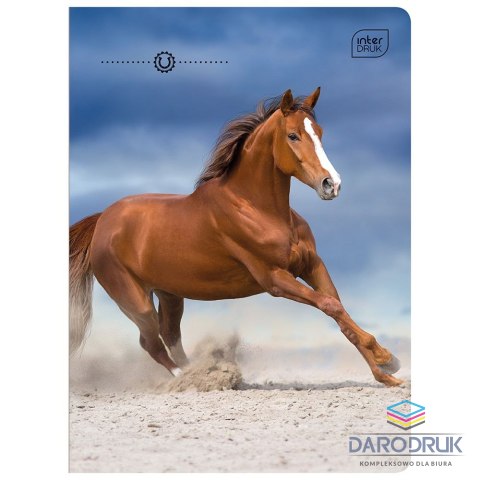 Interdruk Zeszyt A5 WILD HORSES 16k. 70g linia kolor Interdruk
