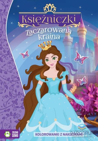 Zielona Sowa Książeczka edukacyjna Zaczarowana kraina Zielona Sowa