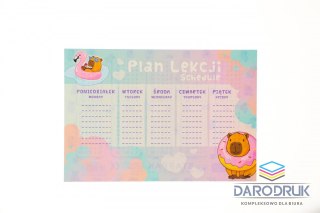 Starpak Plan lekcji kapibara Starpak (572478)