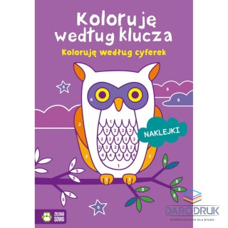 Zielona Sowa Książeczka edukacyjna Koloruję według klucza. Koloruję według cyferek Zielona Sowa