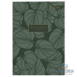 Interdruk Zeszyt A4 TRENDS Girls 60k. 70g krata Interdruk (ZEA460#409)