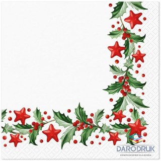 Paw Serwetki BN mix bibuła [mm:] 330x330 Paw (TL234600)