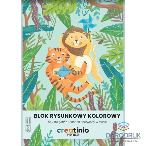 Top 2000 Blok rysunkowy A4 kolorowy 80g 10k Top 2000 (400176665)