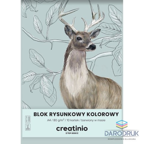 Top 2000 Blok rysunkowy A4 kolorowy 80g 10k Top 2000 (400176665)