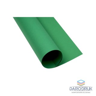 Creatinio Brystol A1 ciemnozielony 160g [mm:] 610x860 Creatinio (400149561)