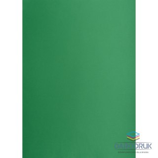 Creatinio Brystol A1 ciemnozielony 160g [mm:] 610x860 Creatinio (400149561)