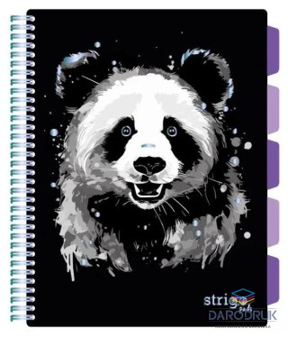 Strigo Kołozeszyt (kołonotatnik) A4 PANDA 100k. 80g krata Strigo (PADS021)