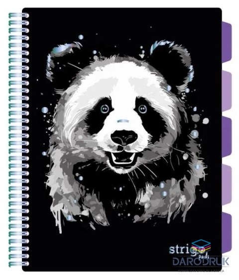 Strigo Kołozeszyt (kołonotatnik) A4 PANDA 100k. 80g krata Strigo (PADS021)