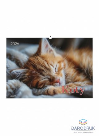 Avanti Kalendarz ścienny KOTY wieloplanszowy 285mm x 410mm Avanti (KA-1)