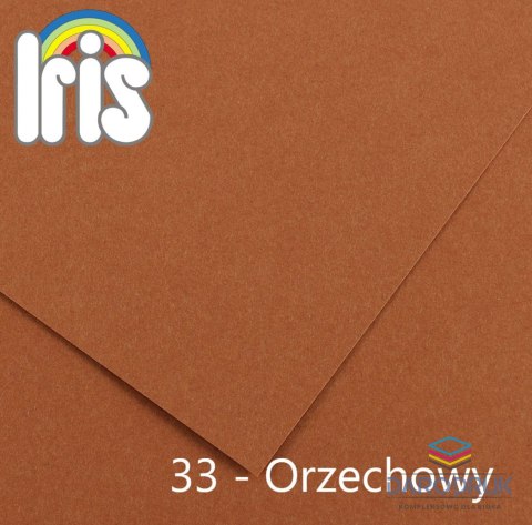 Canson Brystol Iris 33 B1 orzechowy 240g 25k [mm:] 700x1000 Canson (200040472)