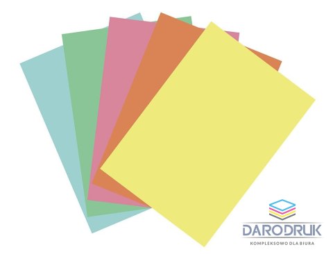Flamingo Papier ksero A4 pastelowy mix 100k. 80g Flamingo