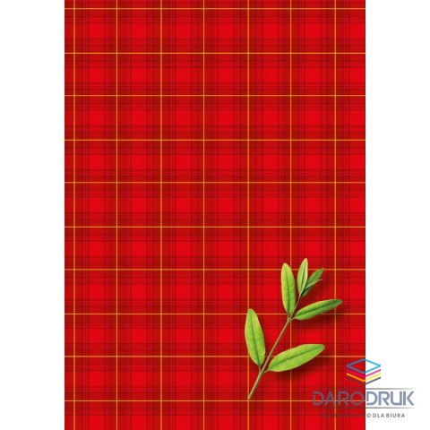 Kreska Brulion B6 200k. krata Kreska