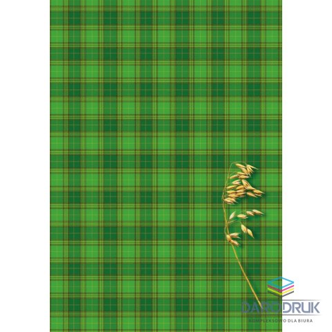 Kreska Brulion B6 200k. krata Kreska