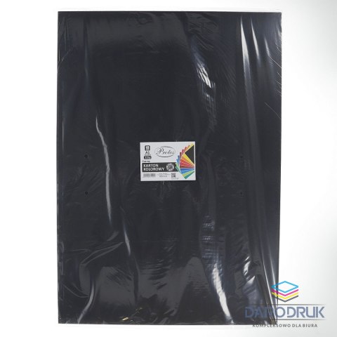 Protos Brystol A1 czarny 225g 10k Protos