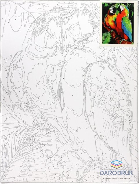 Flamingo Line Zestaw kreatywny Malowanie po numerach 30x40cm Papugi Flamingo Line (FSY287)