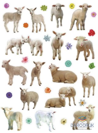 Titanum Naklejka (nalepka) Craft-Fun Series Sheep Titanum