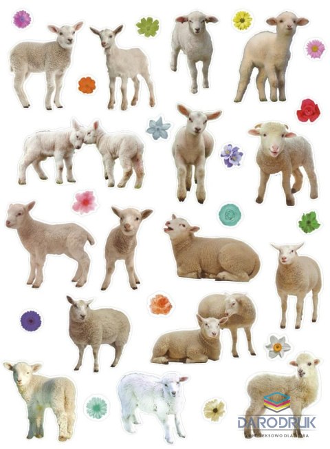 Titanum Naklejka (nalepka) Craft-Fun Series Sheep Titanum
