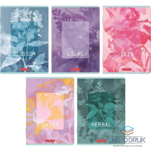 Herlitz Brulion A5 BLOSSOM 96k. 70g krata Herlitz (400206436)