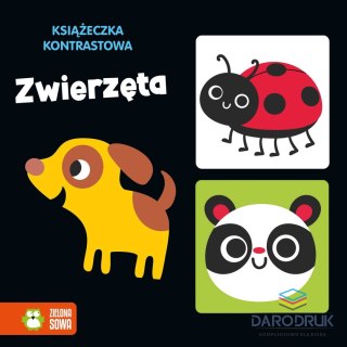Zielona Sowa Książka dla dzieci Zwierzęta Zielona Sowa