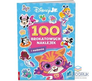 Ameet Książka dla dzieci Disney Junior. Ameet (NB 9112)