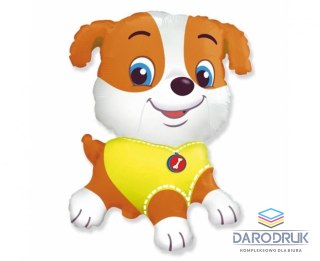 Godan Balon foliowy Bulldog, pakowany 24cal Godan (C901750)