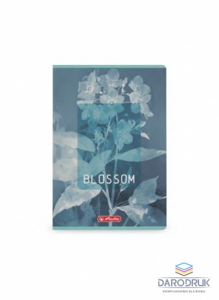 Herlitz Zeszyt B5 Blossom 80k. 70g kratka Herlitz (400206169)