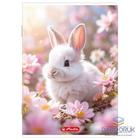 Herlitz Zeszyt A5 mix 16k. 70g linia podwójna kolorowa Herlitz (400206335)