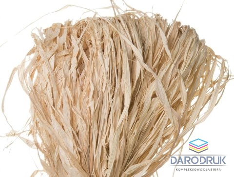 Titanum Rafia Craft-Fun Series naturalna 100g Titanum (100 gram)