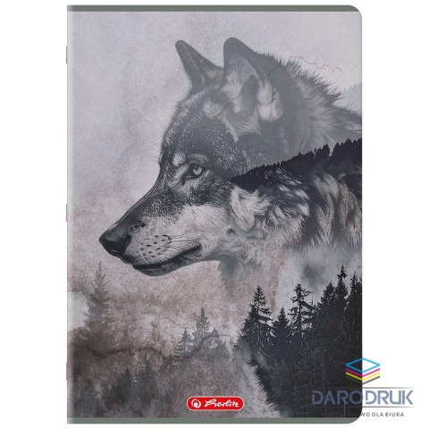 Herlitz Zeszyt A4 WILD 96k. 70g linia Herlitz (400206435)