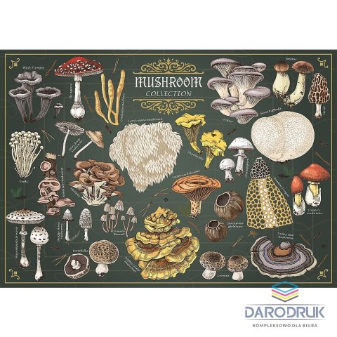 Trefl Puzzle Finders Keepers: Grzyby 25 el. Trefl (37608)