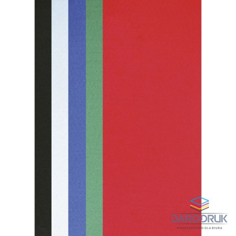 Titanum Filc Craft-Fun Series basic kolor A4 kolor: mix 10 ark. Titanum (179900B)