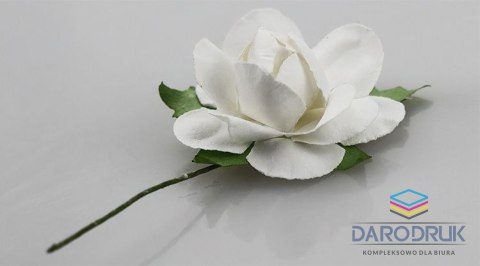 Titanum Ozdoba papierowa Craft-Fun Series róże na druciku Titanum (25YX0902-12- white)