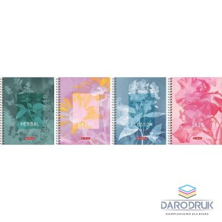 Herlitz Kołozeszyt (kołonotatnik) A4 Blossom 80k. 70g krata Herlitz (400206438)