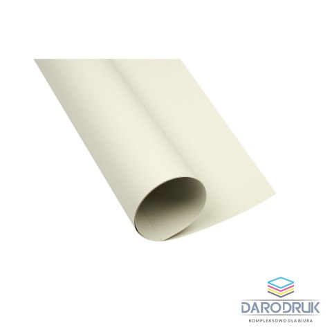 TOP-2000 Brystol A1 jasnoszary 160g 25k [mm:] 610x860 TOP-2000 (400149522)